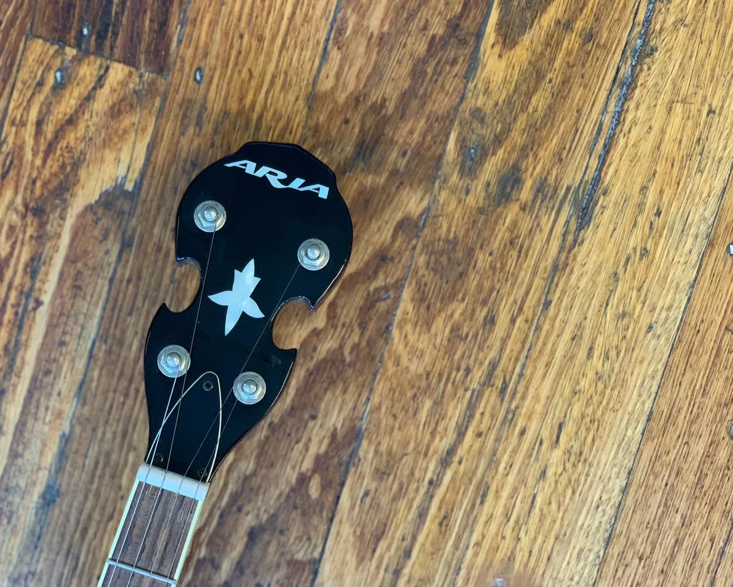 Aria 5 String Banjo