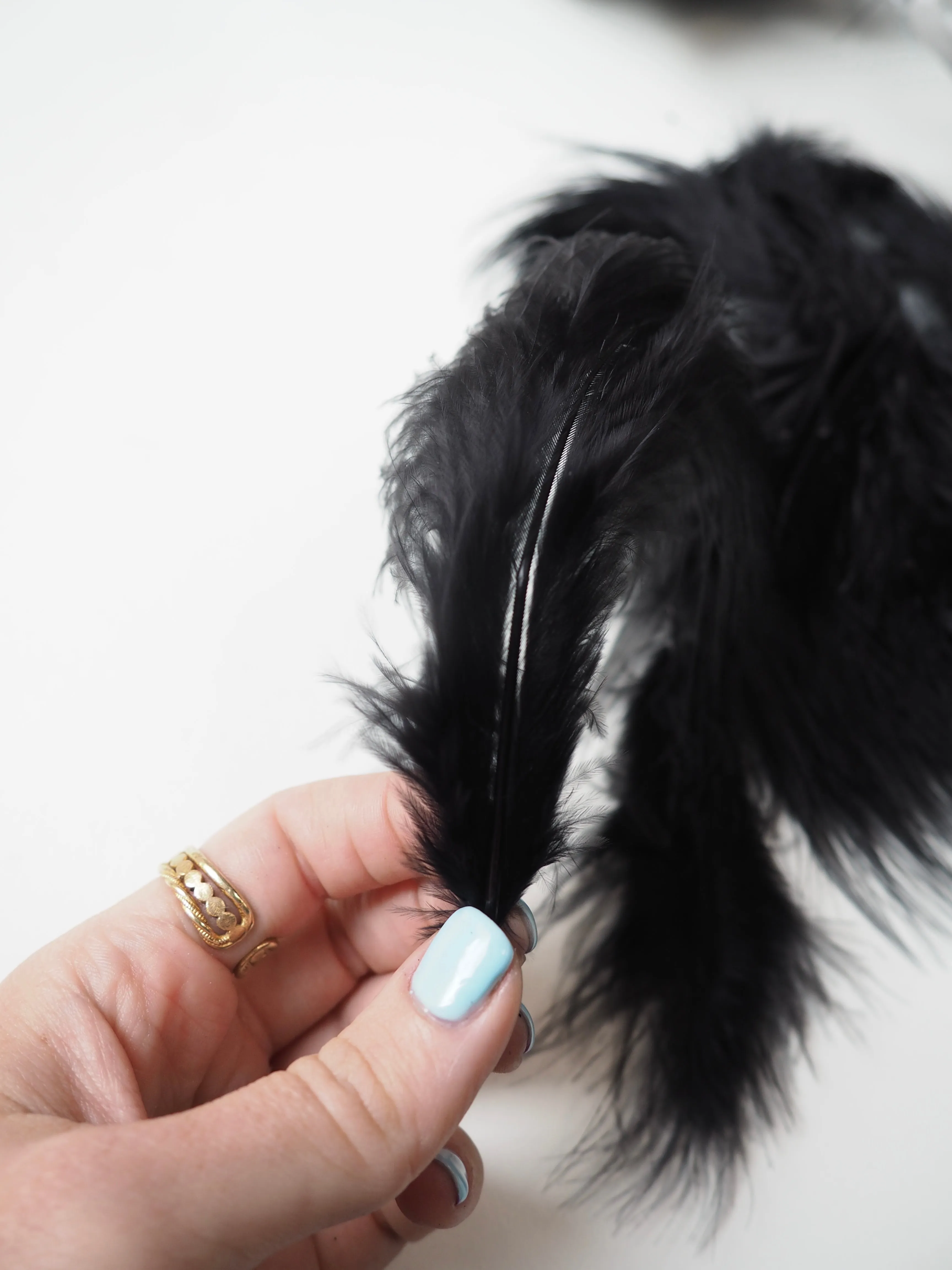 Black Turkey Feathers 10 pieces